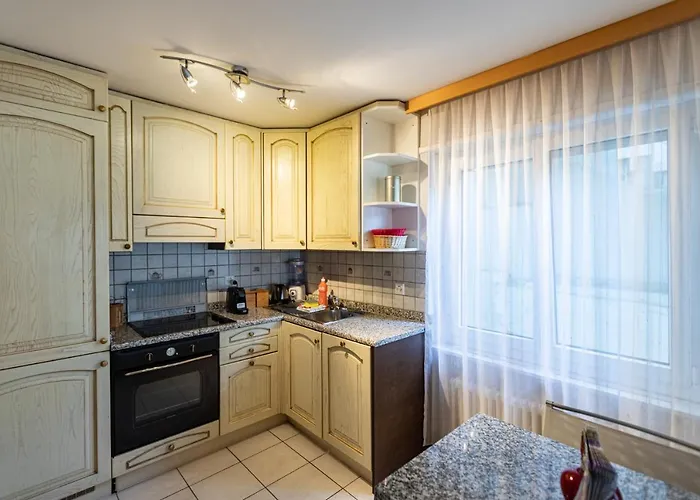 Joy - Matterhorn View 采尔马特